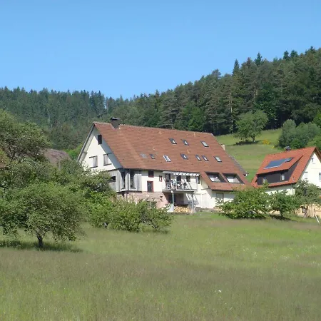 Wiedenberg By Interhome Lejlighed Tonbach