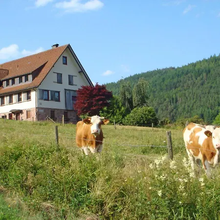 Lejlighed Wiedenberg By Interhome *